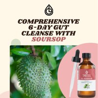 6-Day Soursop Plan cover